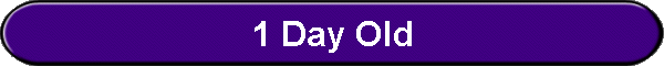 1 Day Old
