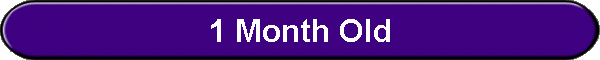 1 Month Old