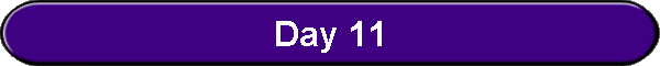 Day 11