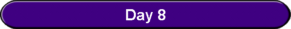 Day 8