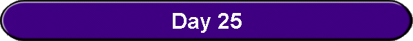 Day 25
