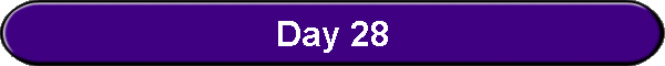 Day 28