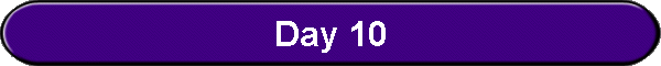 Day 10