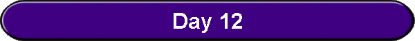 Day 12