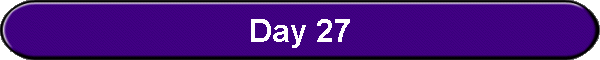 Day 27
