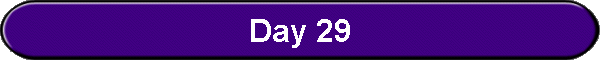 Day 29