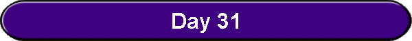 Day 31