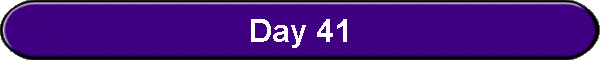 Day 41