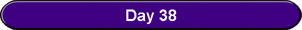 Day 38