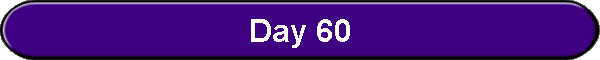 Day 60
